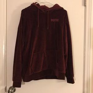 Velvet Puma Hoodie